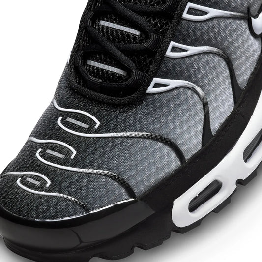 Air Max Plus "Black & Metallic Silver"